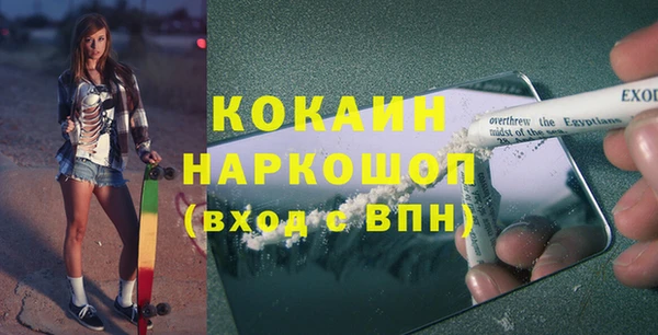 тгк Алзамай