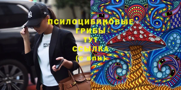МДПВ Алексеевка