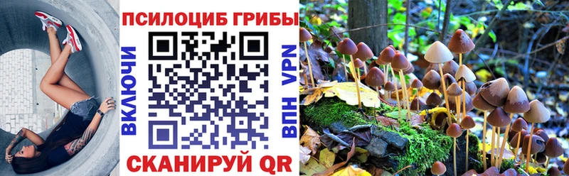 Псилоцибиновые грибы ЛСД  Западная Двина 