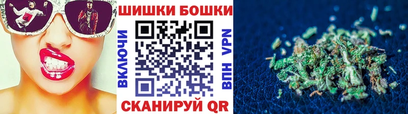 Бошки Шишки гибрид Западная Двина